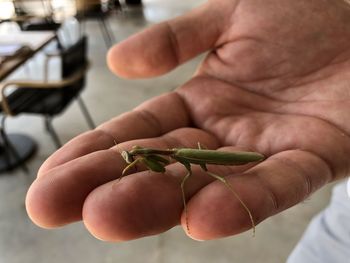 Close-up of person holding hands