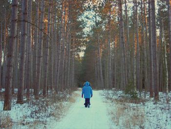 Rear view of woman walking in forest during winter