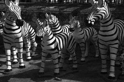Rear view of zebras standing against graffiti wall