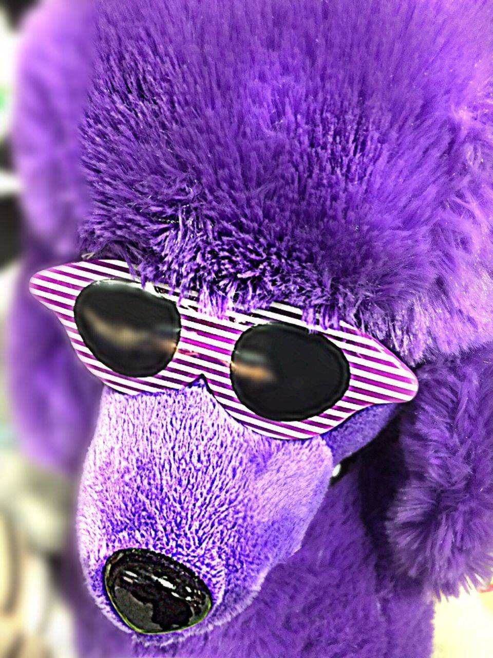 CLOSE-UP OF SUNGLASSES ON PURPLE FLOWER WITH UMBRELLA