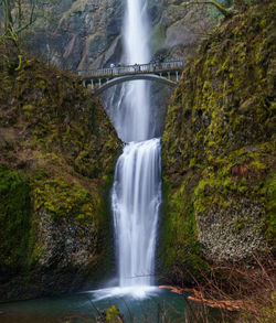 Scenic view of waterfall in forest