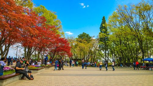 People sitting in park during autumn