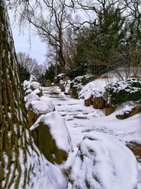 Snow covered field by trees