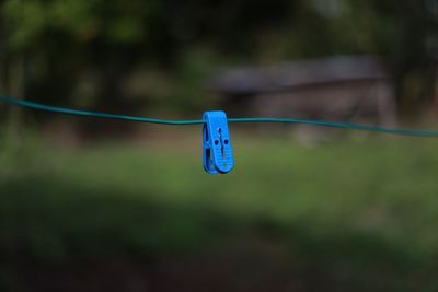 Close-up of blue clothespins hanging on rope