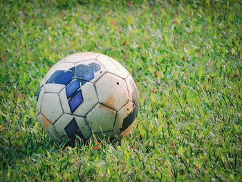 Close-up of grassy field