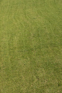 Full frame shot of soccer field