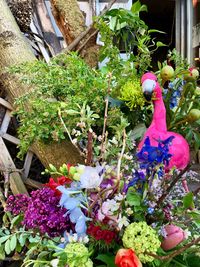 Close-up of potted plants