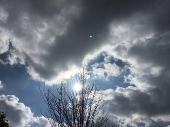 Low angle view of tree against cloudy sky