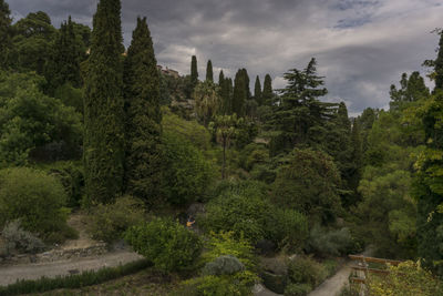 Trees on landscape against sky