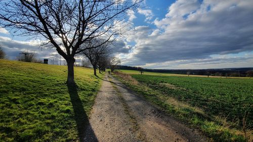 Scenic view of road amidst field against sky