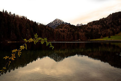 Scenic view of lake by trees against sky