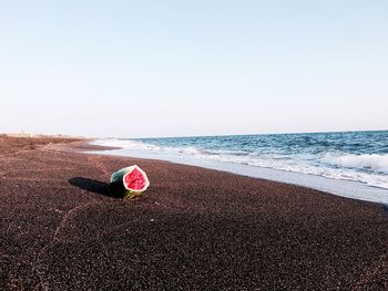 Abandoned watermelon on beach against clear sky