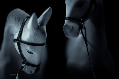 Close-up of eyeglasses against black background