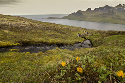 Scenic view of lake