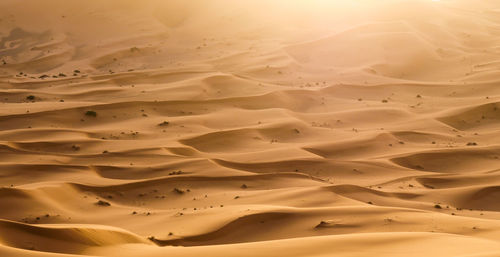 Full frame shot of sand dunes in desert