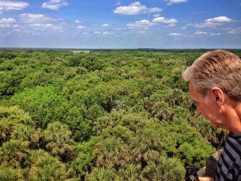 Grass growing in field
