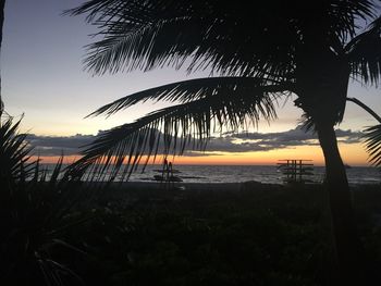 Silhouette palm trees on beach against sky during sunset