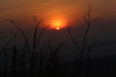 Silhouette bare tree against orange sky