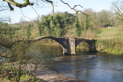 Arch bridge over river in forest against sky