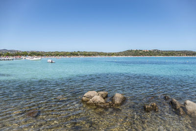 Cala brandinchi beach in san teodoro