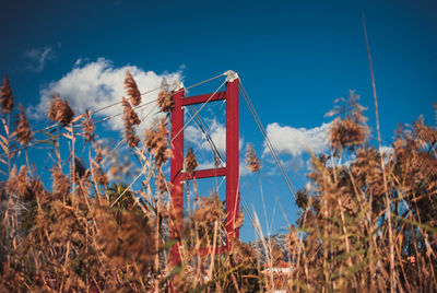 Low angle view of plants on field against blue sky