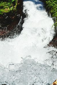 high angle view