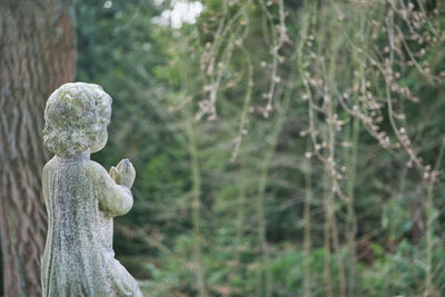 Close-up of statue against blurred background