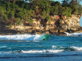 Scenic view of sea against trees