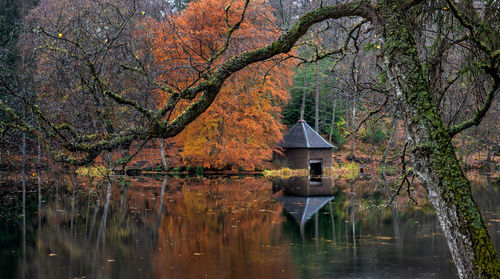 A colourful autumn woodland forest and calm reflection on loch dunmore near pitlochry in perthshire