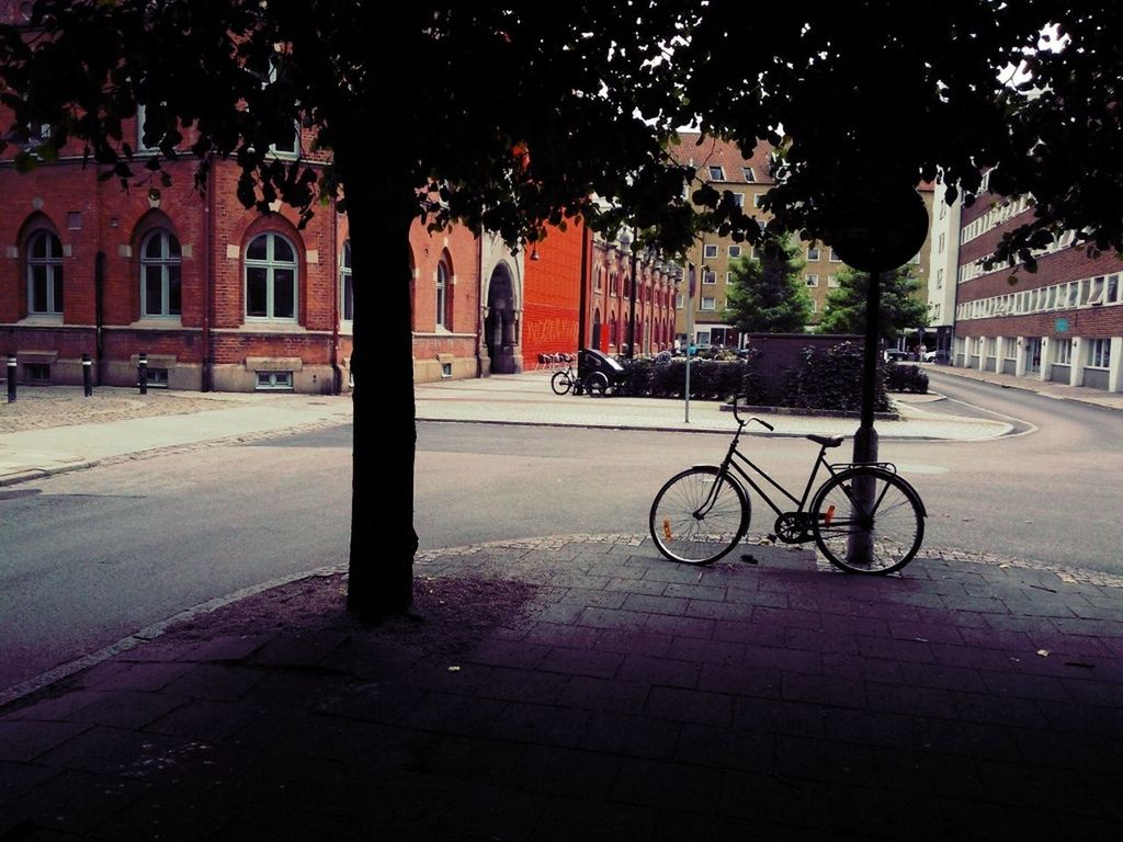 bicycle, building exterior, transportation, architecture, built structure, street, land vehicle, mode of transport, tree, city, parking, road, parked, sidewalk, stationary, cobblestone, the way forward, car, city life, footpath