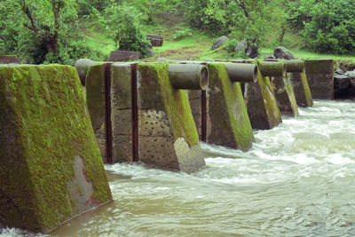 Scenic view of waterfall in forest