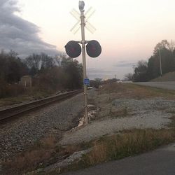 Railroad tracks along trees