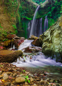 Scenic view of waterfall in forest