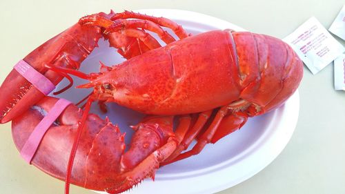 Close-up of served food