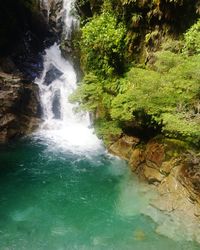 Scenic view of waterfall in forest