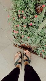 Low section of person standing by plants