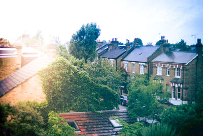 Houses with trees in background