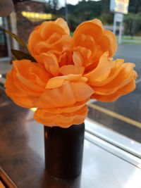 Close-up of orange rose in vase