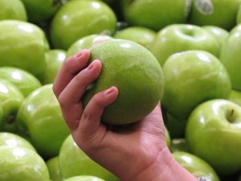 Cropped hand of person holding granny smith apple