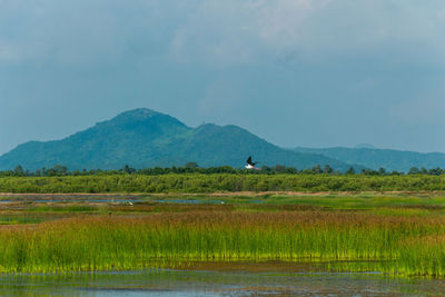 Scenic view of lake and mountains against sky