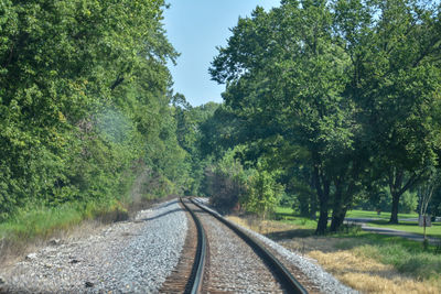 View of railroad tracks amidst trees