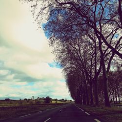 Road amidst trees against sky