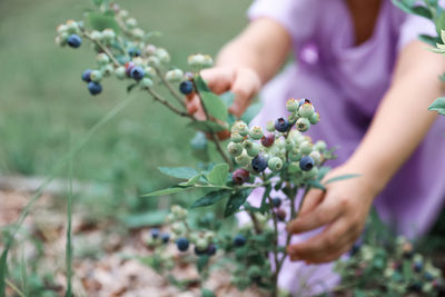 Cropped hand of woman holding flowers