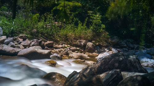 Stream flowing through rocks in forest