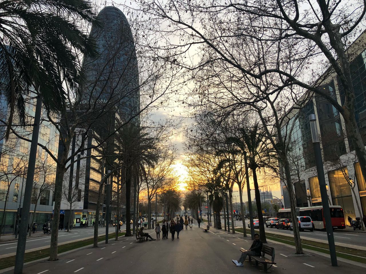 city, bare tree, street, transportation, tree, road, walking, architecture, group of people, building exterior, built structure, land vehicle, city life, the way forward, outdoors, real people, men, sunset, women, sky, day, people