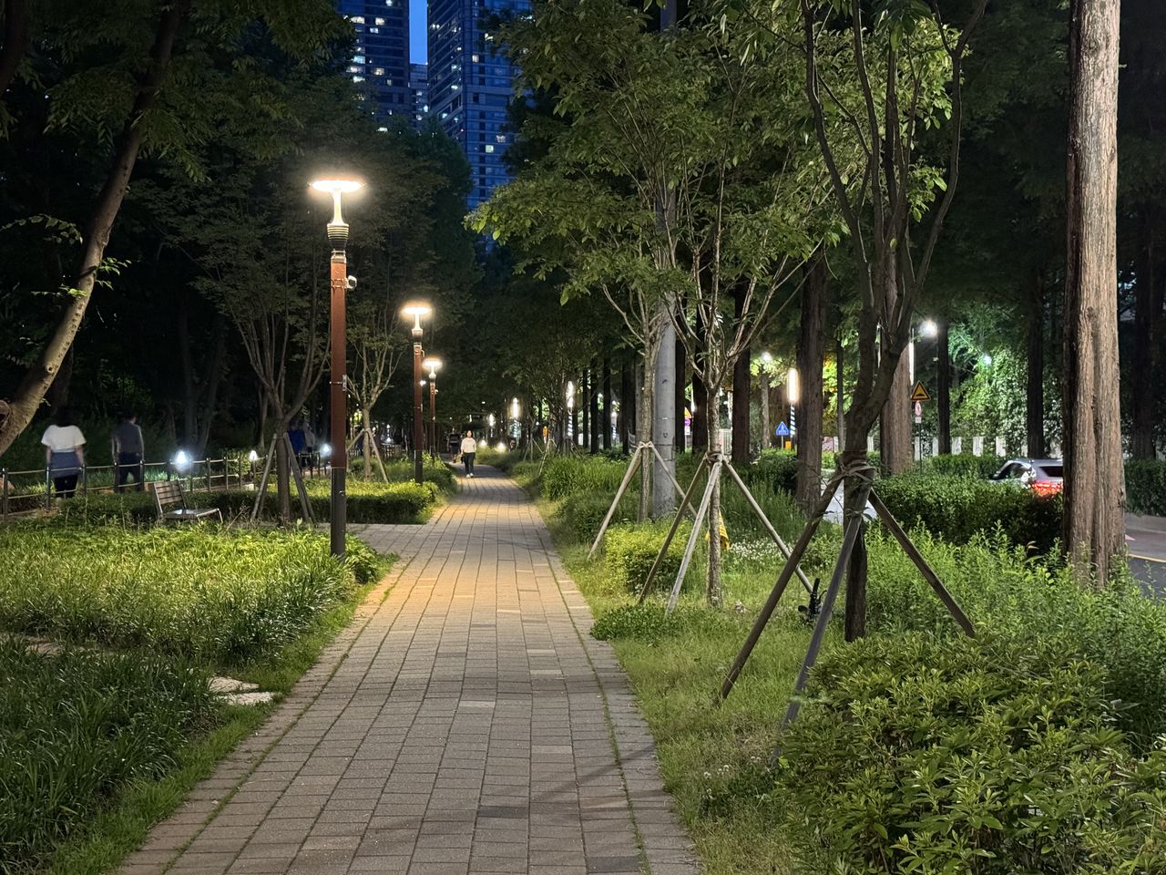plant, tree, street light, illuminated, night, footpath, street, the way forward, lighting equipment, nature, city, architecture, park, growth, urban area, lighting, park - man made space, road, neighbourhood, green, no people, grass, built structure, diminishing perspective, outdoors, building exterior, treelined, tree trunk, trunk, transportation, walkway, light