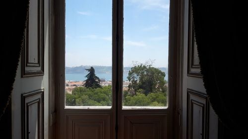 Trees seen through window of house