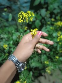 Cropped hand of woman holding yellow flower