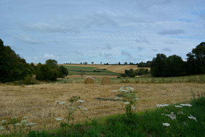 Scenic view of field against sky