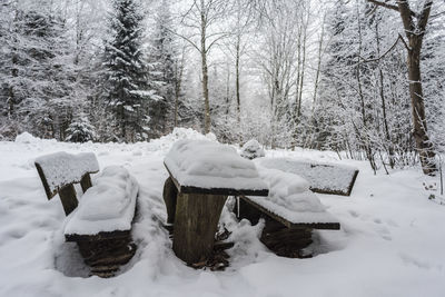 Snow covered field and trees in forest